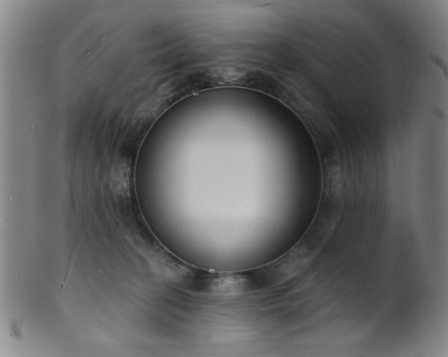 X0000101690274200807101520