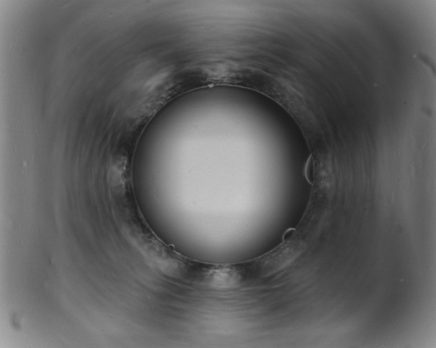 X0000101690275200807101520