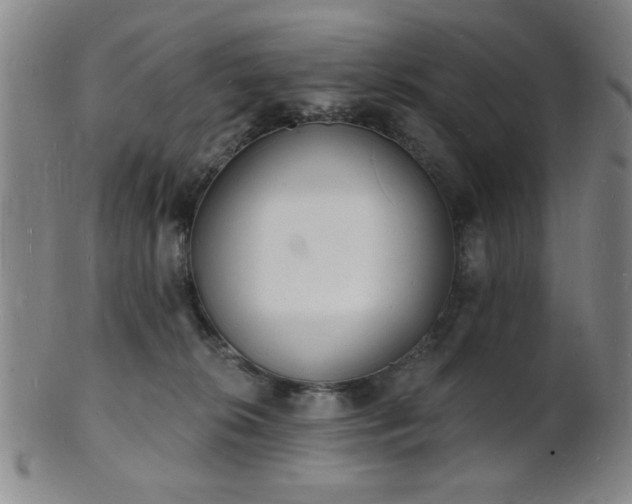 X0000101690276200807101520