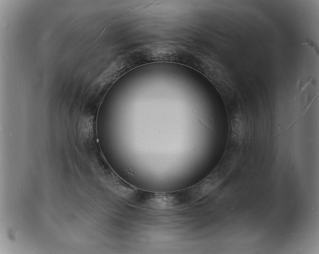 X0000101690278200807101520