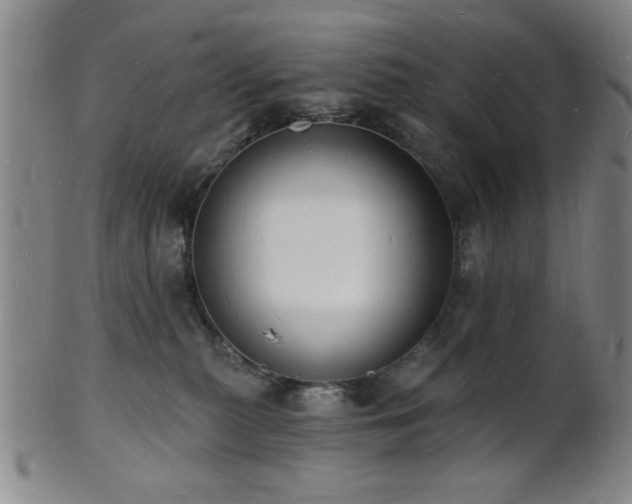 X0000101690279200807101520