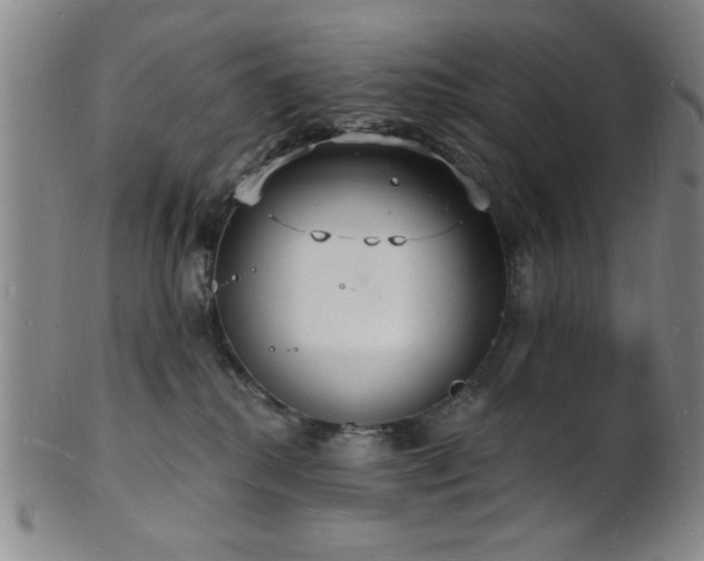 X0000101690280200807101520