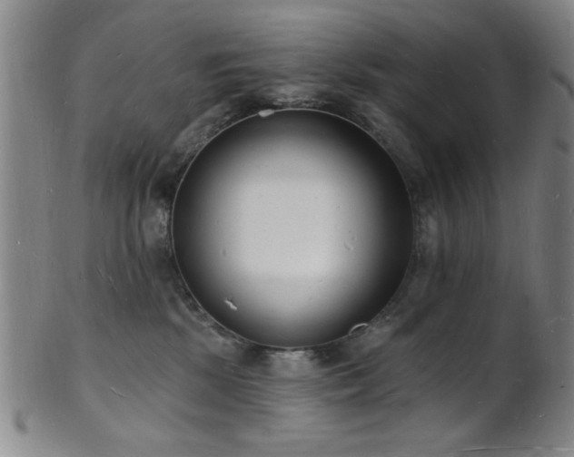 X0000101690281200807101520