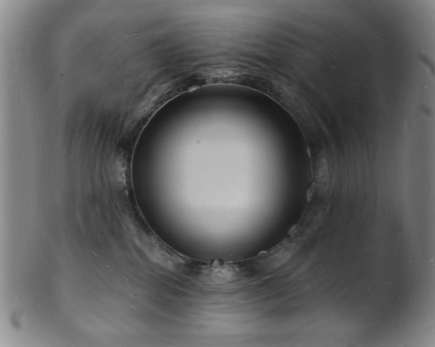 X0000101690282200807101520