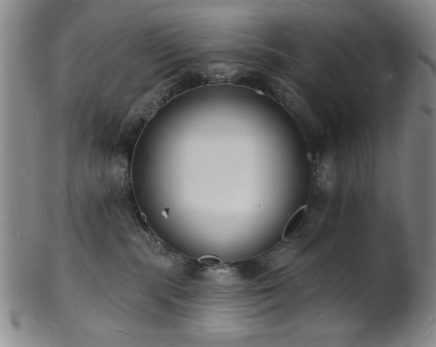 X0000101690283200807101520