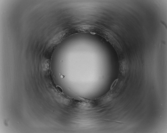 X0000101690284200807101520