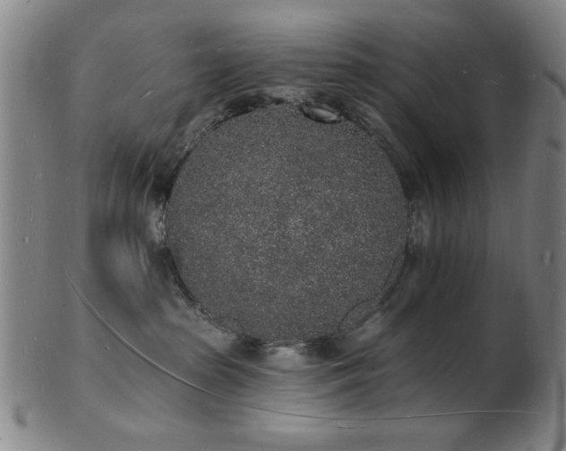 X0000101690285200807101520