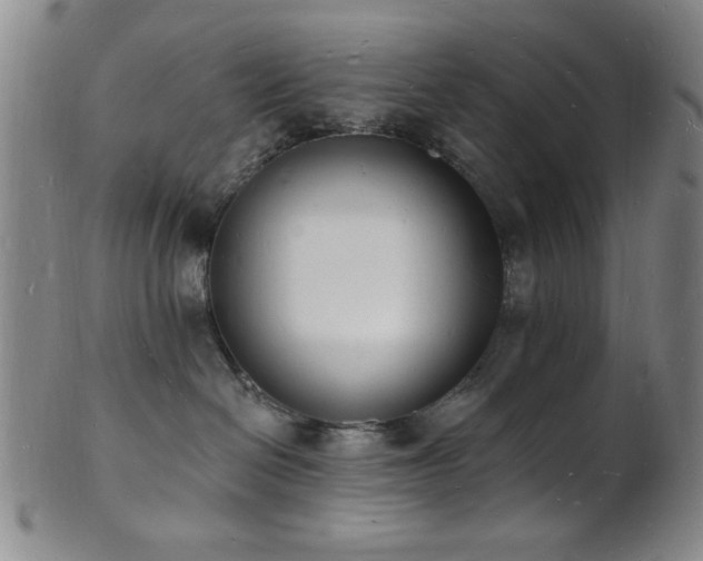 X0000101690286200807101520