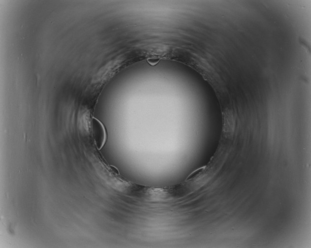 X0000101690287200807101520