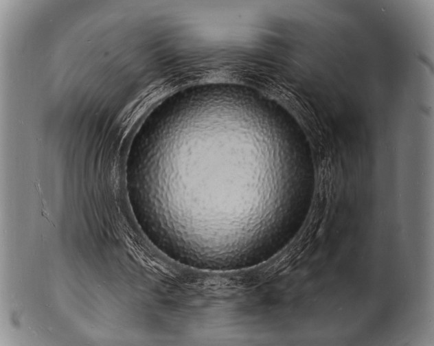 X0000101690290200807101519