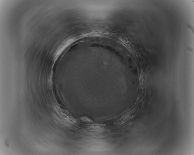 X0000101690292200807101519