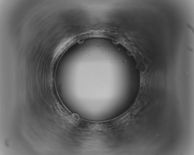 X0000101690293200807101519