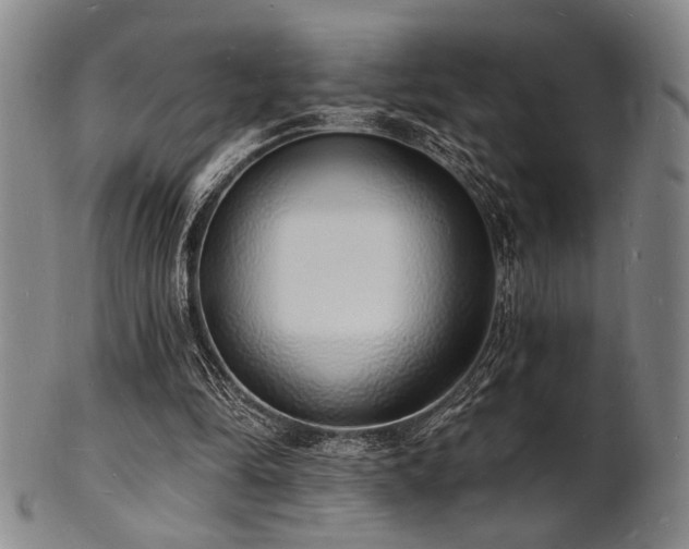 X0000101690294200807101519