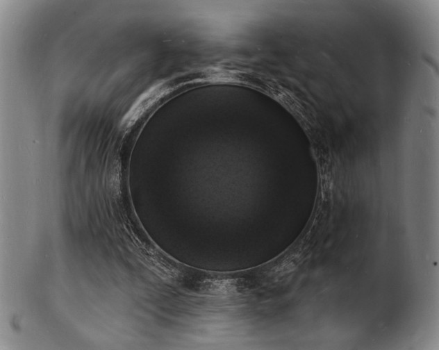 X0000101690295200807101519