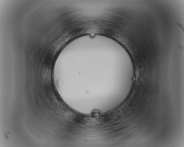 X0000101690297200807101519