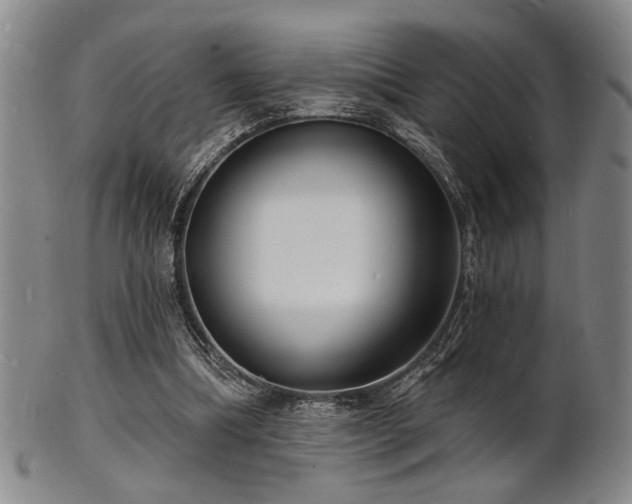 X0000101690298200807101519