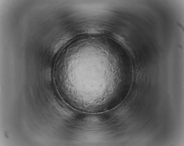 X0000101690299200807101519