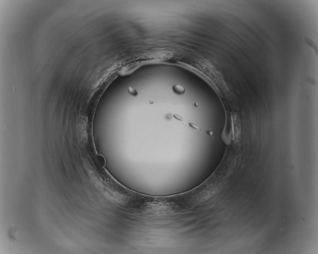 X0000101690300200807101519