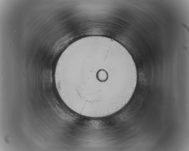 X0000101690302200807101519