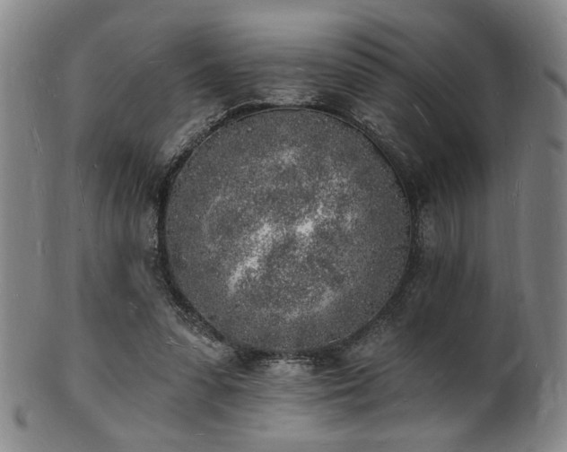 X0000101690303200807101519