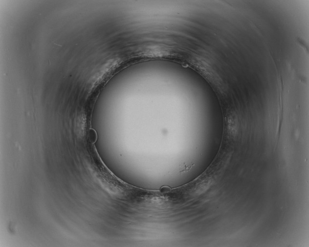 X0000101690304200807101519