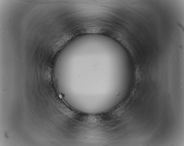 X0000101690305200807101519