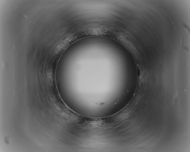 X0000101690306200807101519