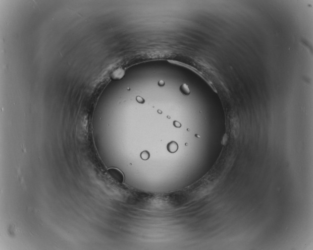 X0000101690308200807101519