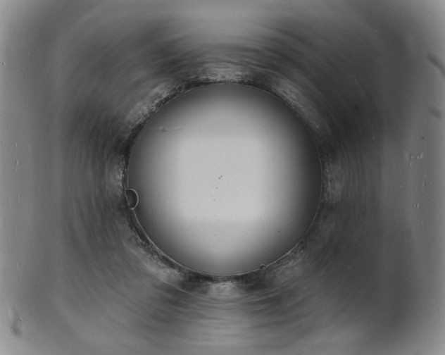 X0000101690309200807101519