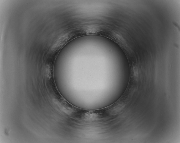 X0000101690311200807101519