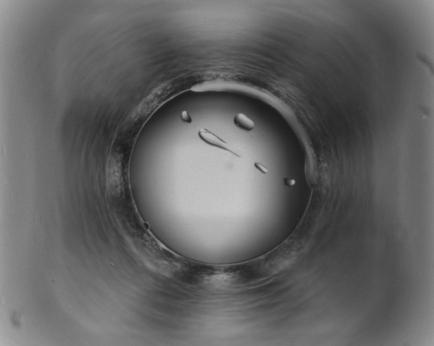 X0000101690312200807101519