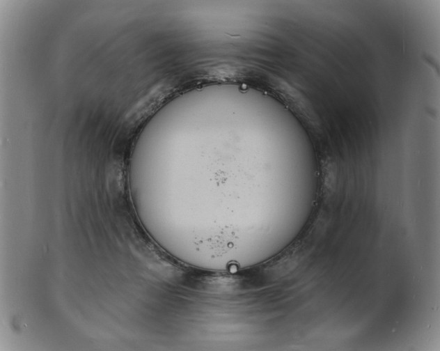 X0000101690313200807101519