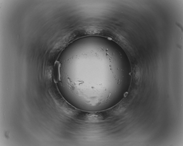 X0000101690315200807101519