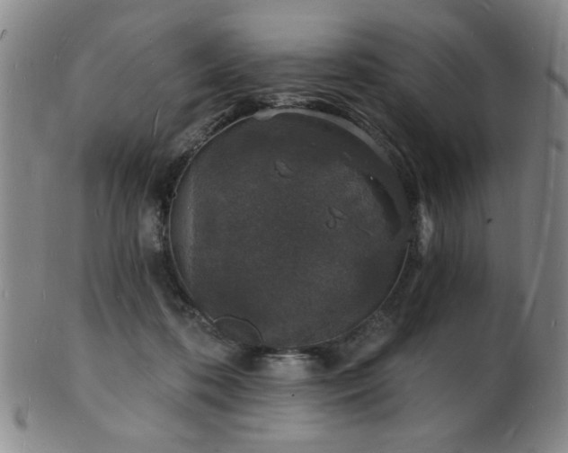 X0000101690316200807101519