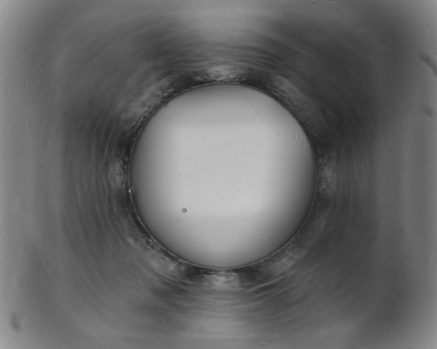 X0000101690317200807101519