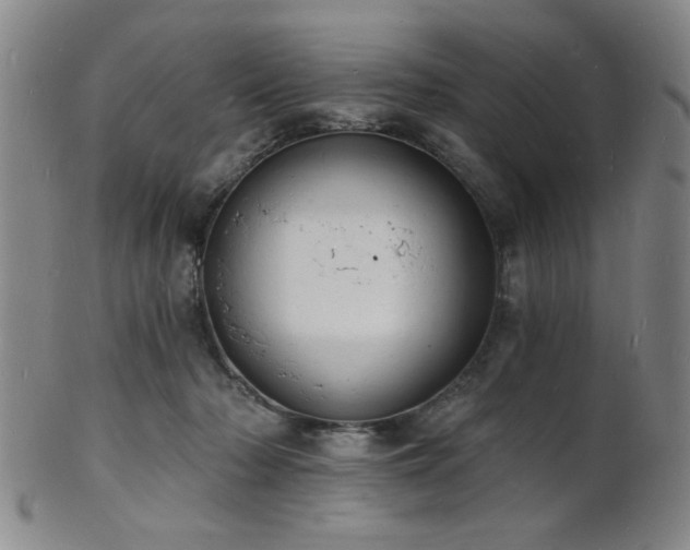 X0000101690318200807101519