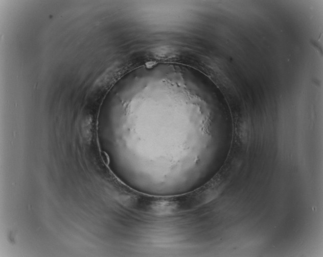 X0000101690319200807101519