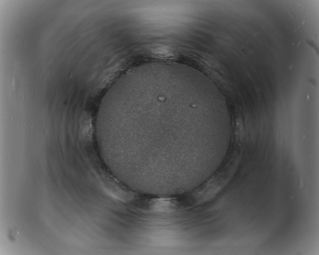 X0000101690320200807101519