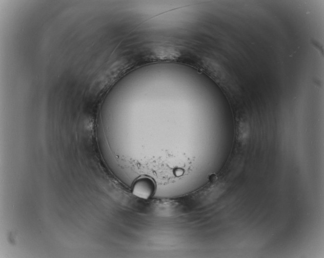 X0000101690321200807101519