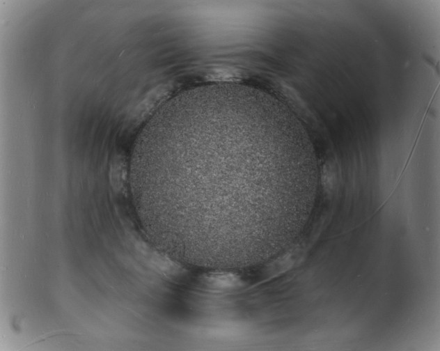 X0000101690322200807101519