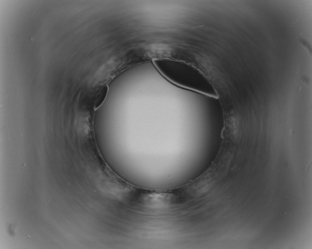 X0000101690323200807101519