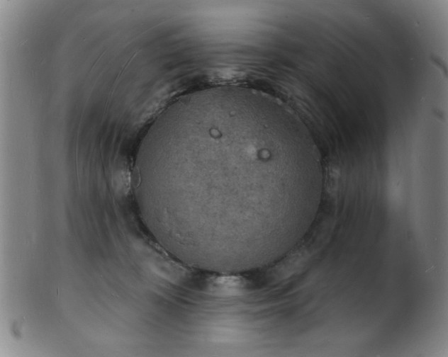 X0000101690324200807101519