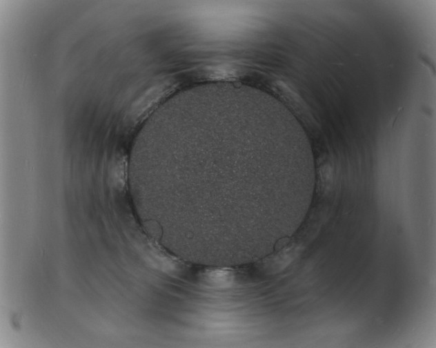 X0000101690325200807101519