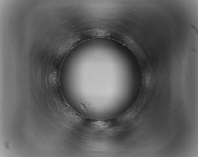 X0000101690326200807101519