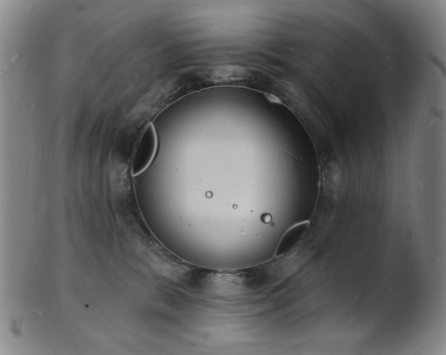 X0000101690327200807101519