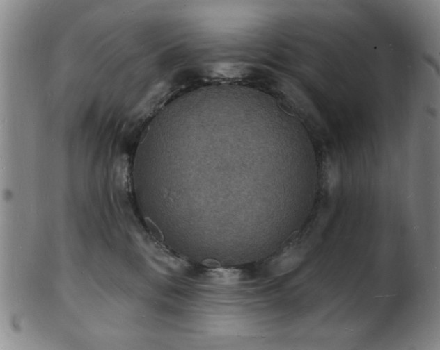 X0000101690328200807101519