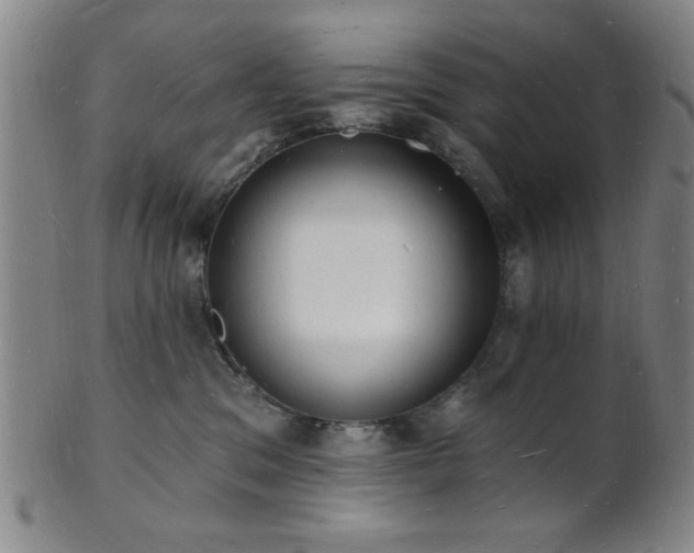 X0000101690329200807101519