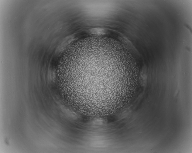 X0000101690330200807101519