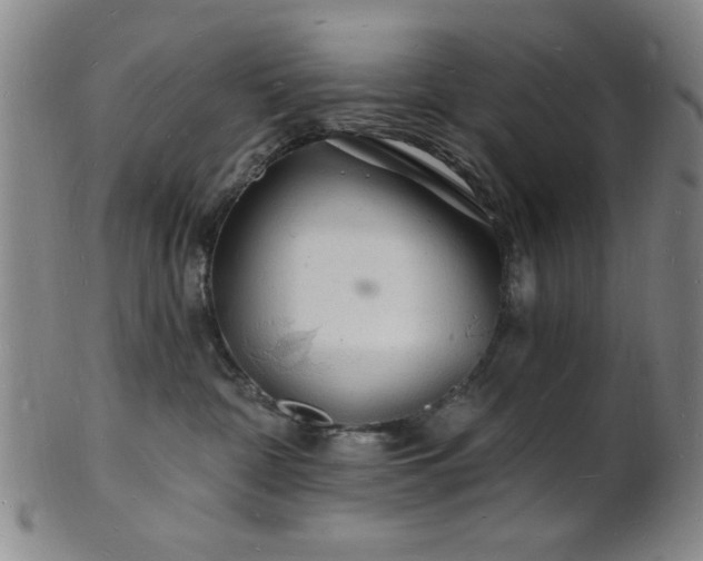 X0000101690332200807101519