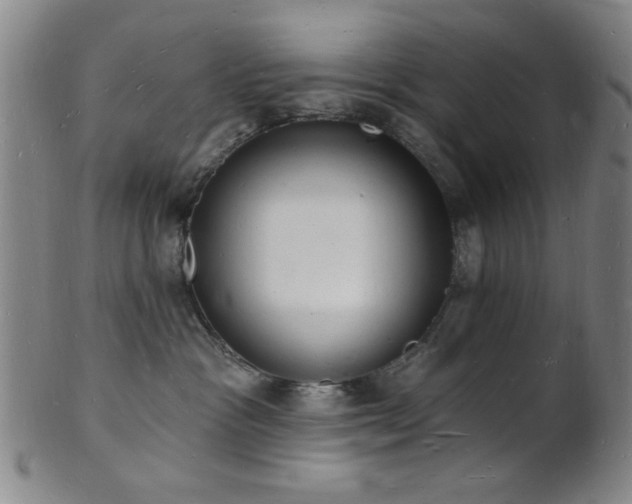 X0000101690333200807101519